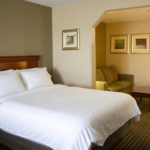 Standard King Room Sofa Bed